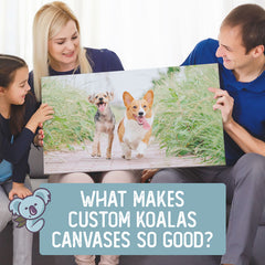 Why Are Custom Koala Canvases So Good?
