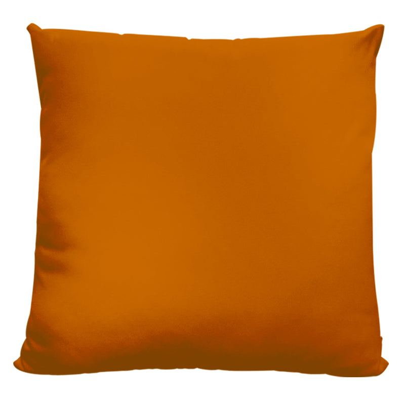 Extra Large Outdoor Garden Cushion Designs - 24" x 24"