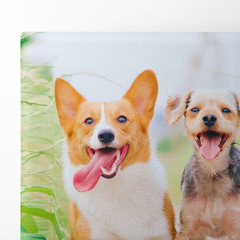 Canvas Prints